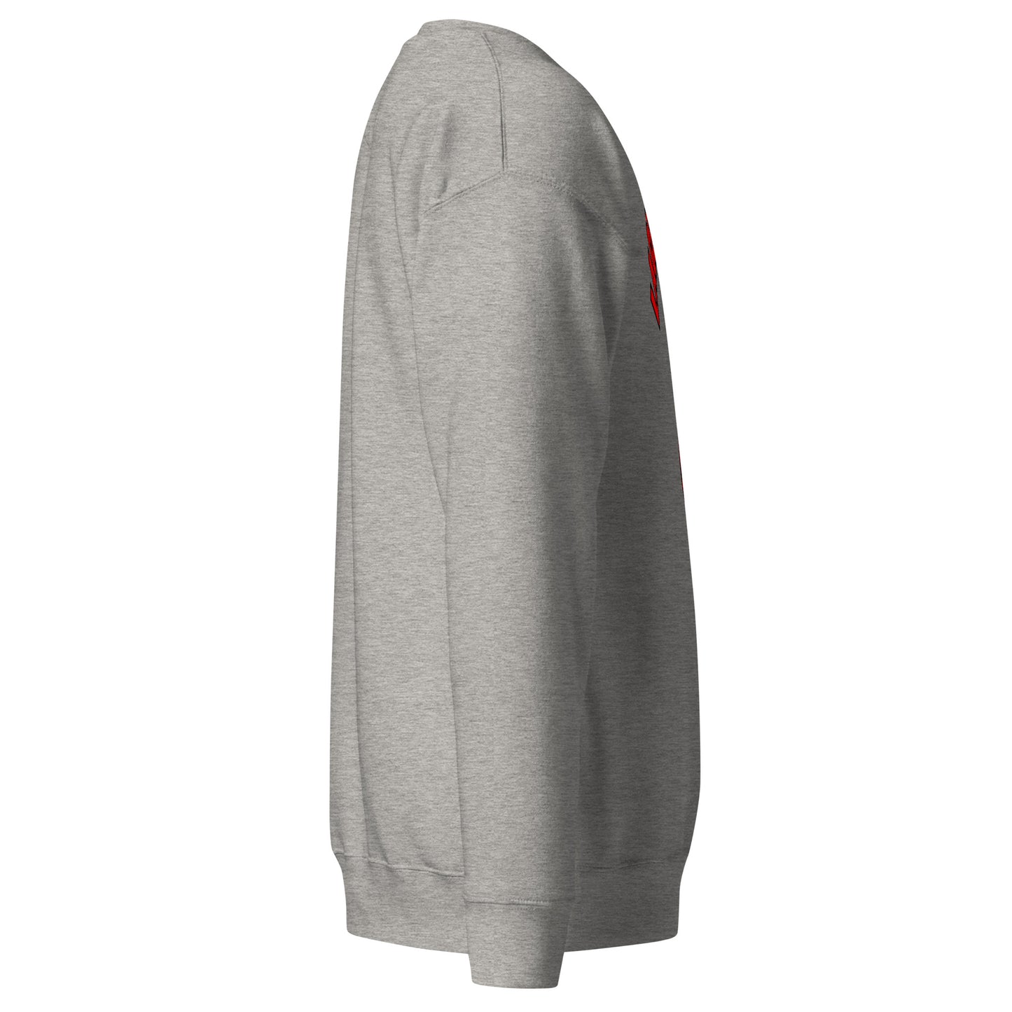 Lace Me Up Sweatshirt